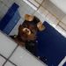foto de Samuellobo wolf