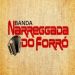 BANDA NARREGGADA DO FORRÓ