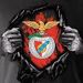 Tiago Cantarinha