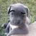 foto de Dx Sebastian