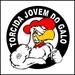 torcida jovem  do galo 