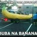 foto de Roger GVM
