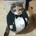 foto de Swing Swing