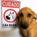 foto de Lici