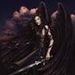 Black Wing