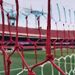 foto de Vitor Yassuda