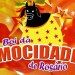 Boi da Mocidade de Rosário