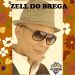 Zell Do Brega