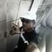 Daniiel Gomes