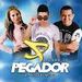 Forró Do Pegador