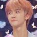 NaNa Jaemin
