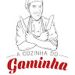 Paulo Gaminha