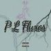 P L Fluxos