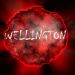 foto de wellington correa