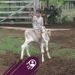 Jeferson Jardin