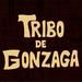 Tribo de Gonzaga