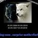 lesfer Wolf