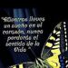 Uberfil Viera Oroná