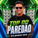 dilsinho mix