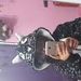 maite cat
