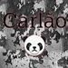 carlão panda