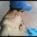 elwis rodrigues lima