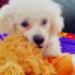 Dany Vega (vany)