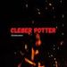 Cleber Potter