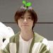 sofia love's Beomgyu