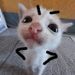 foto de Kiin