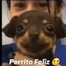 foto de Joshua