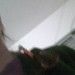 Jaqueline da Silva Morais.