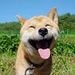 foto de TAviNho FEliZ