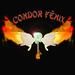 Condor Fenix