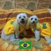 foto de Janete Aroucha