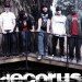 Banda Decorus