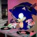 ✨🌀uekawa sonic🌀✨