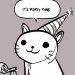 gato festeiro