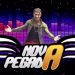 Banda Nova Pegada