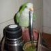 foto de Flo Flo