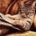 foto de suslik :)