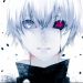 Kaneki kaneco