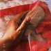 ramon carlos