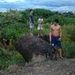 foto de Saylon Fuark