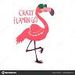 Flamingas Loucas