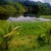 foto de arley lima