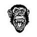 Astronaut Chimp
