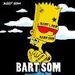 BART SOM