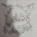 Glitched Fox