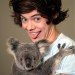 directionersimedai